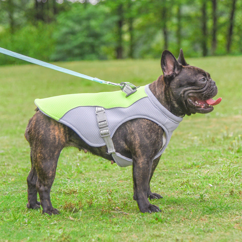 Summer Pet Dog Cooling Vest – Breathable Heat-Resistant Clothing for Small & Large Dogs
